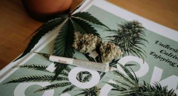 Cannabis light, un mercato da 100 milioni in Italia e cresce sempre
