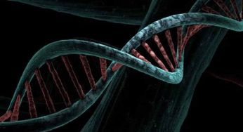 Investire in ricerca genetica e farmacologica: facile e redditizio, tanti soldi, gente comune