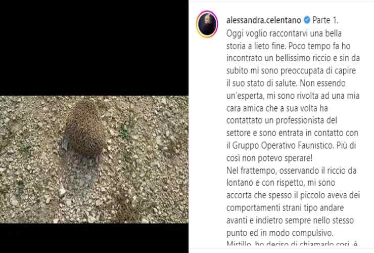 Alessandra Celentano amico riccio--ILoveTrading.it