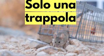 Le borse stanno salendo ma secondo molti esperti è solo una trappola