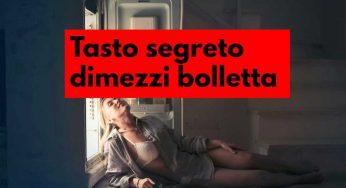 Frigorifero: il tasto segreto che non hai mai premuto ti dimezza la bolletta, fallo immediatamente, gioia famiglie