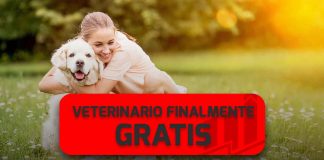 Ospedale veterinario finalmente gratis: tanto risparmio, approfitta subito