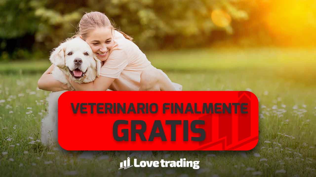 Ospedale veterinario finalmente gratis: tanto risparmio, approfitta subito