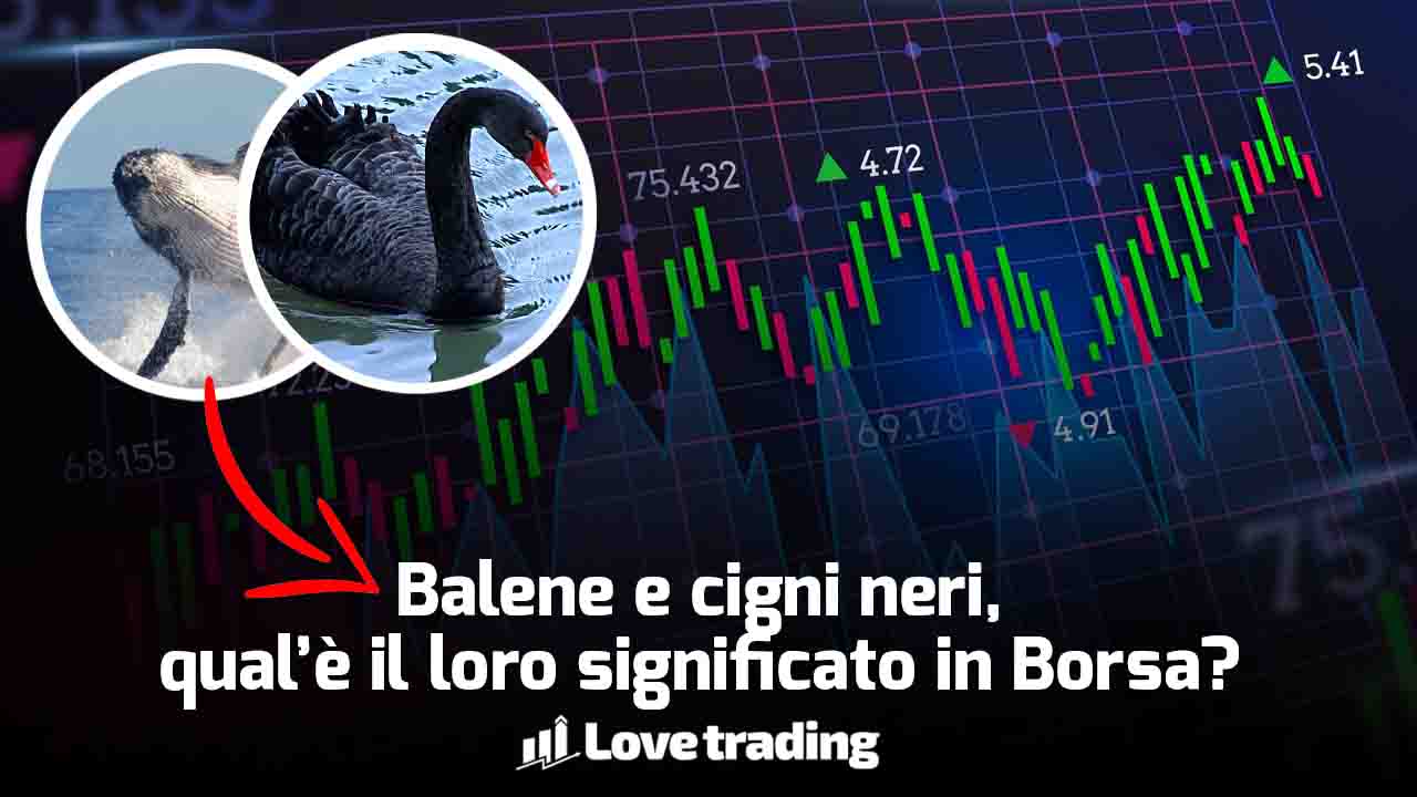 Borsa cigno nero