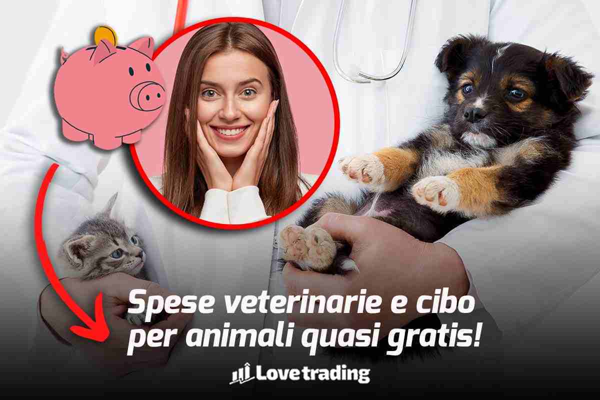 Veterinario con in braccio animali