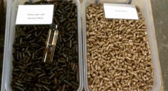 Pellet, così distingui quello di qualità dallo scadente e non rimani fregato