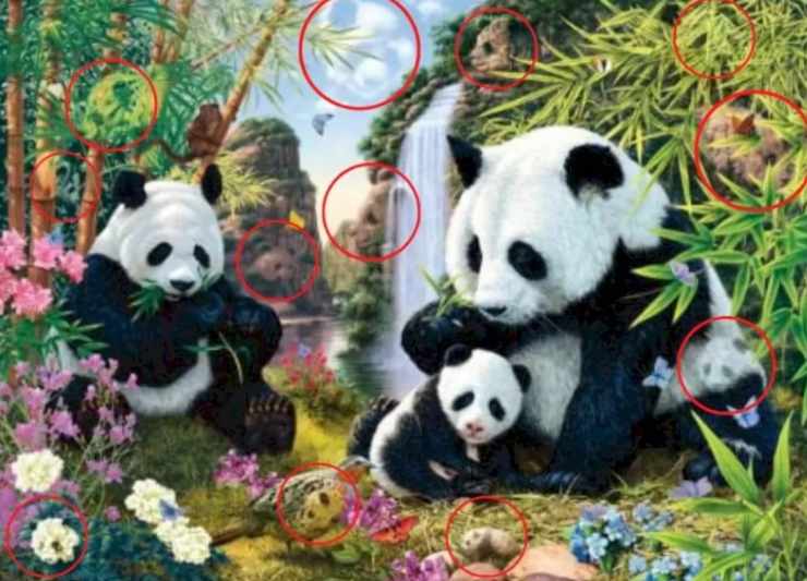 foto panda test 