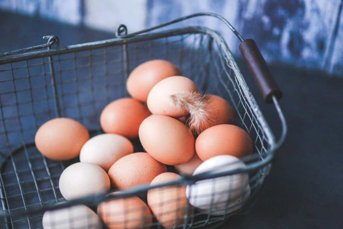 Smettila di farti fregare: così capisci subito se un uovo è fresco, eviti rischi