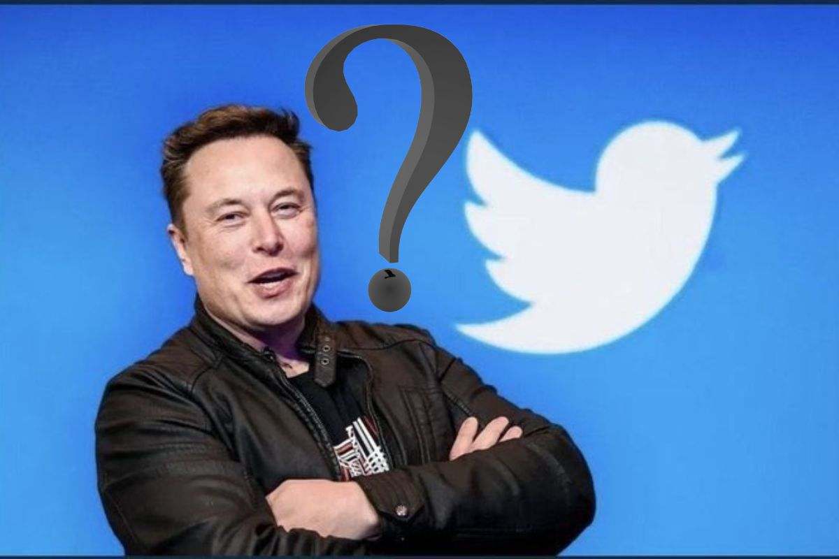 Elon Musk nuovo ceo Twitter 