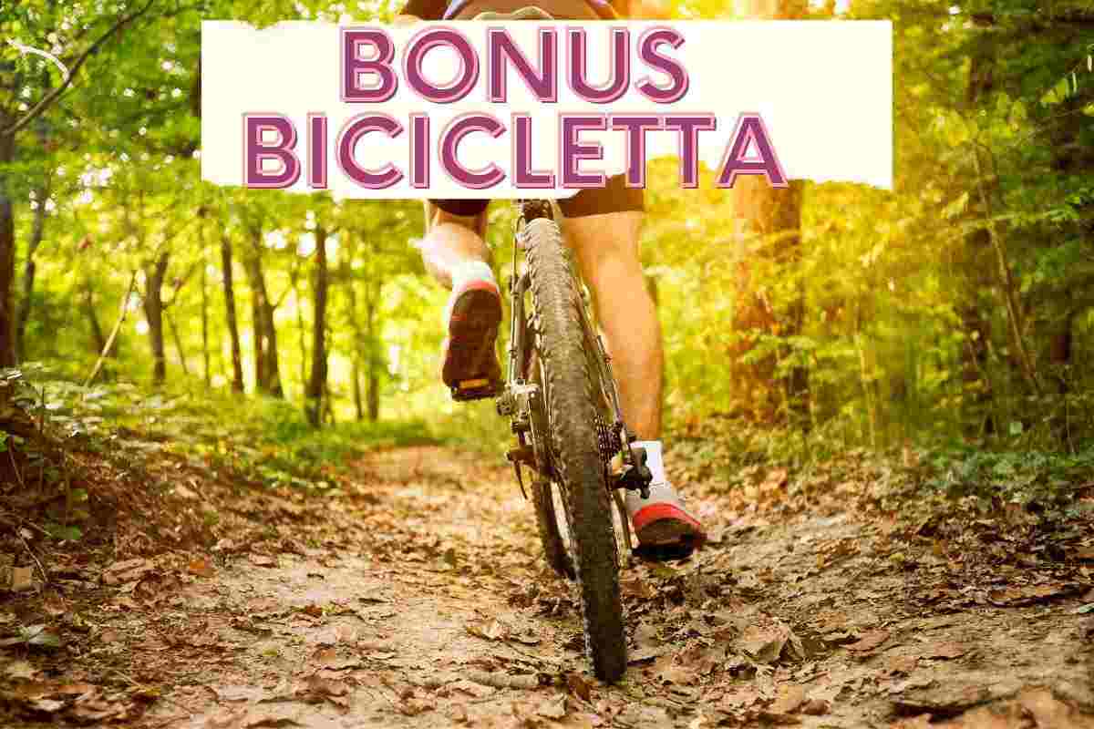 bonus bicicletta 300 euro