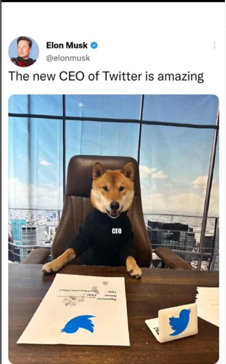 Ceo twitter floki ilovetrading 