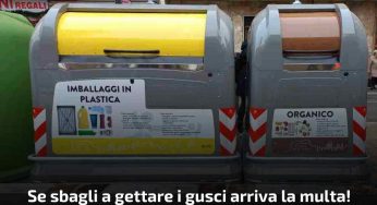 Gusci: attenzione a dove li getti perchè arrivano le grosse multe “contenitore giusto”