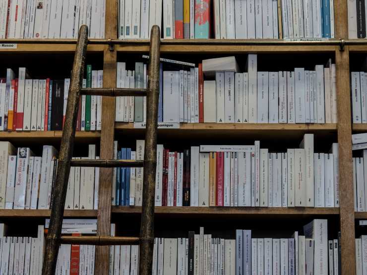 Lavoro in biblioteca o da libraio: come fare 