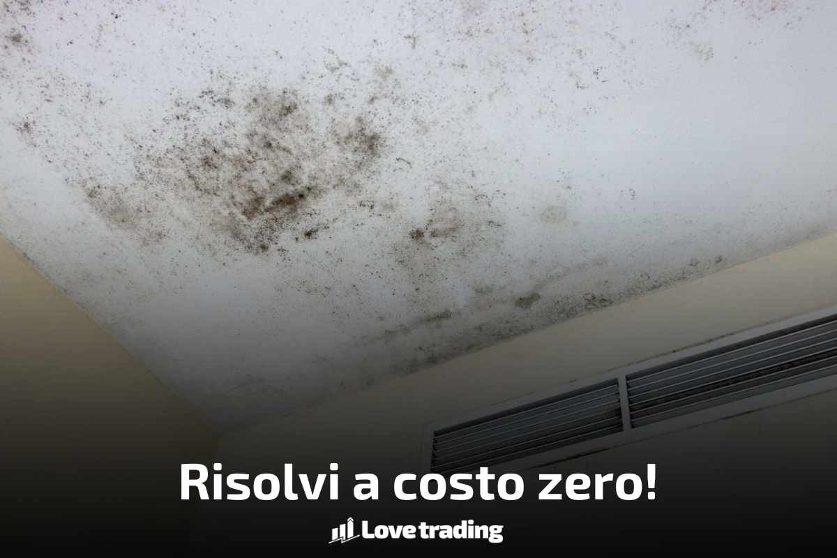 Risolvi muffa e umidità così