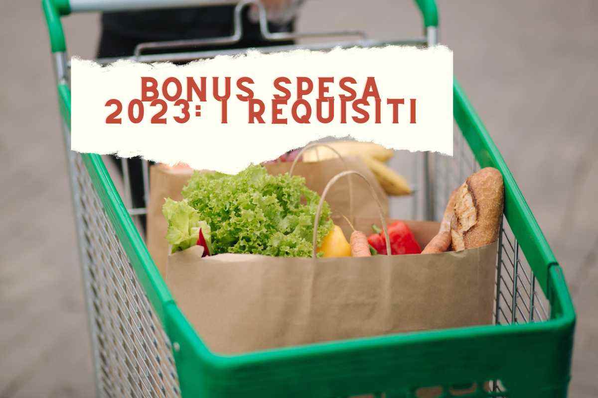 bonus spesa 2023: requisiti