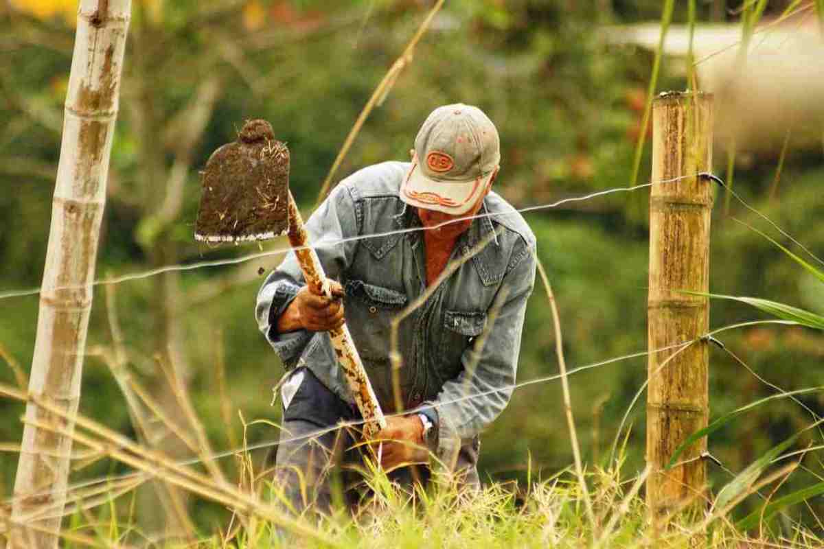 Lavoro nero cosa si rischia