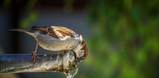emergenza acqua razionamento stop attività