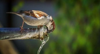 Emergenza acqua: arriva il razionamento e lo stop ad alcune attività