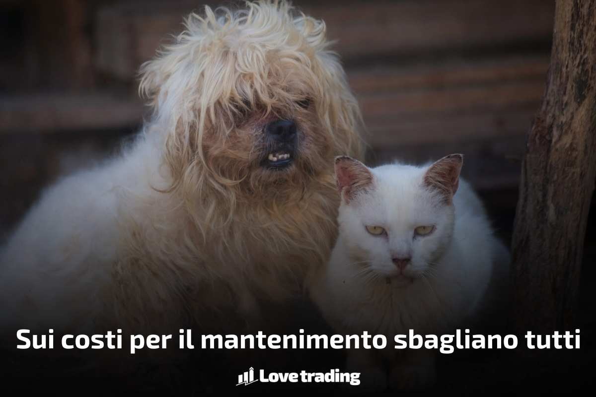 I veri costi di cane e gatto