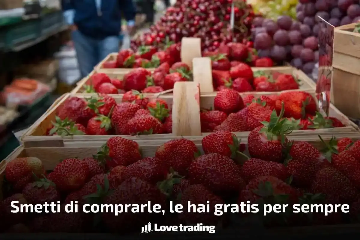 Così puoi avere tante fragole gratis