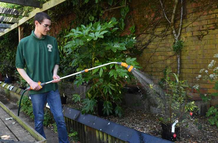 ricchi bonus per il giardino