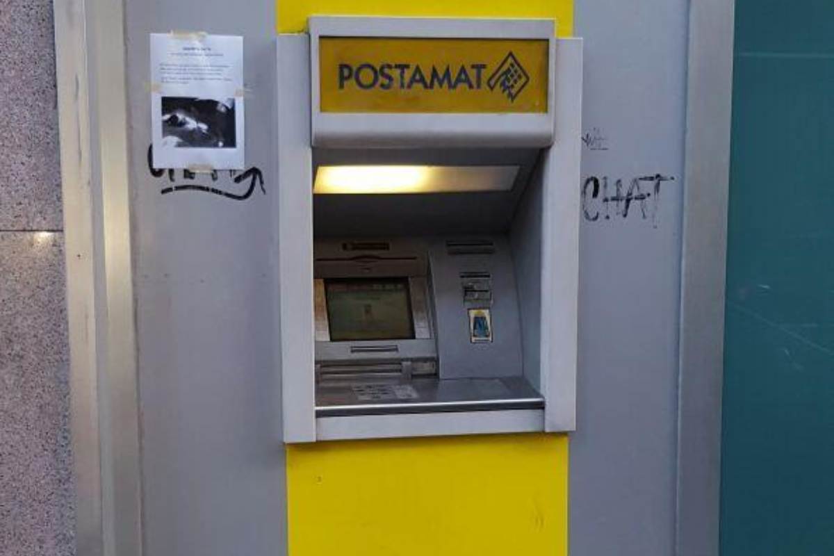 Cosa sta 