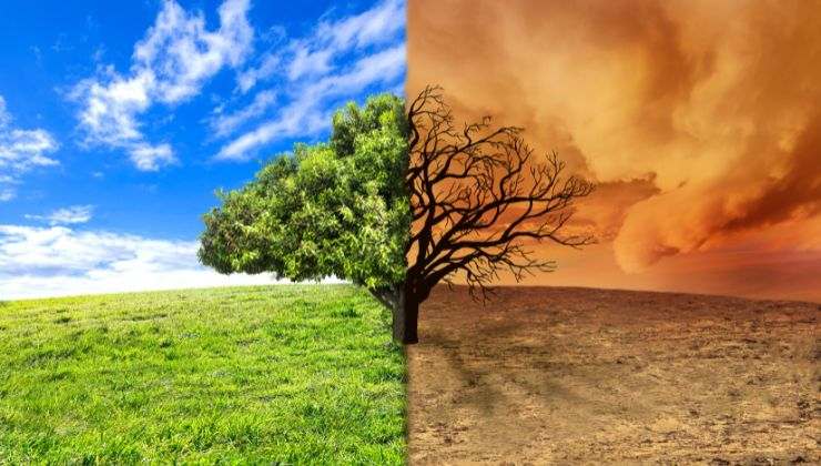 Cambiamento Climatico eco-ansia 