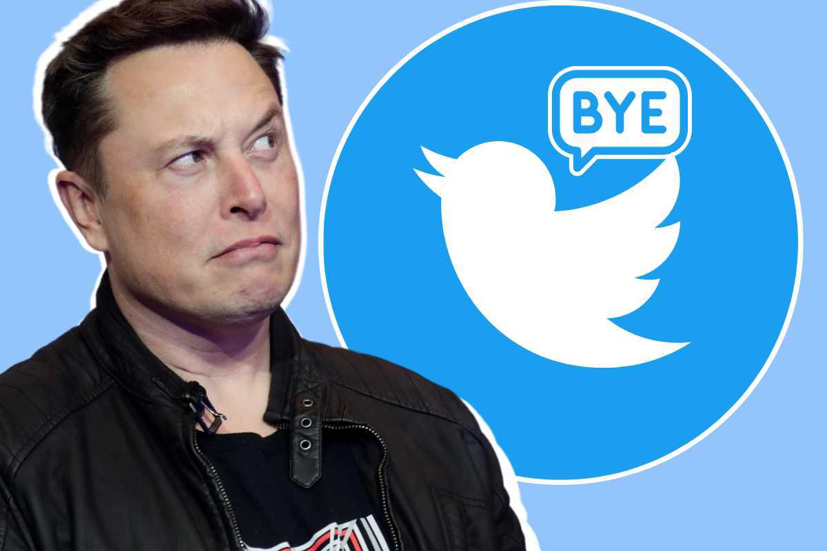 L'ultima genialata di Elon Musk come CEO di Twitter