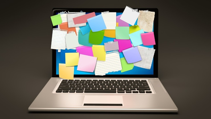 Tutte le informazioni da inserire nei curriculum