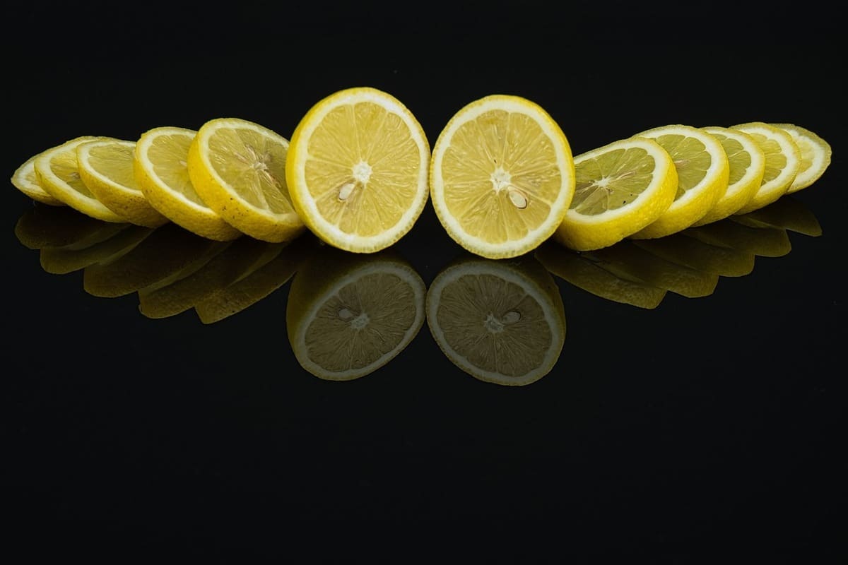 fette di limone in fila