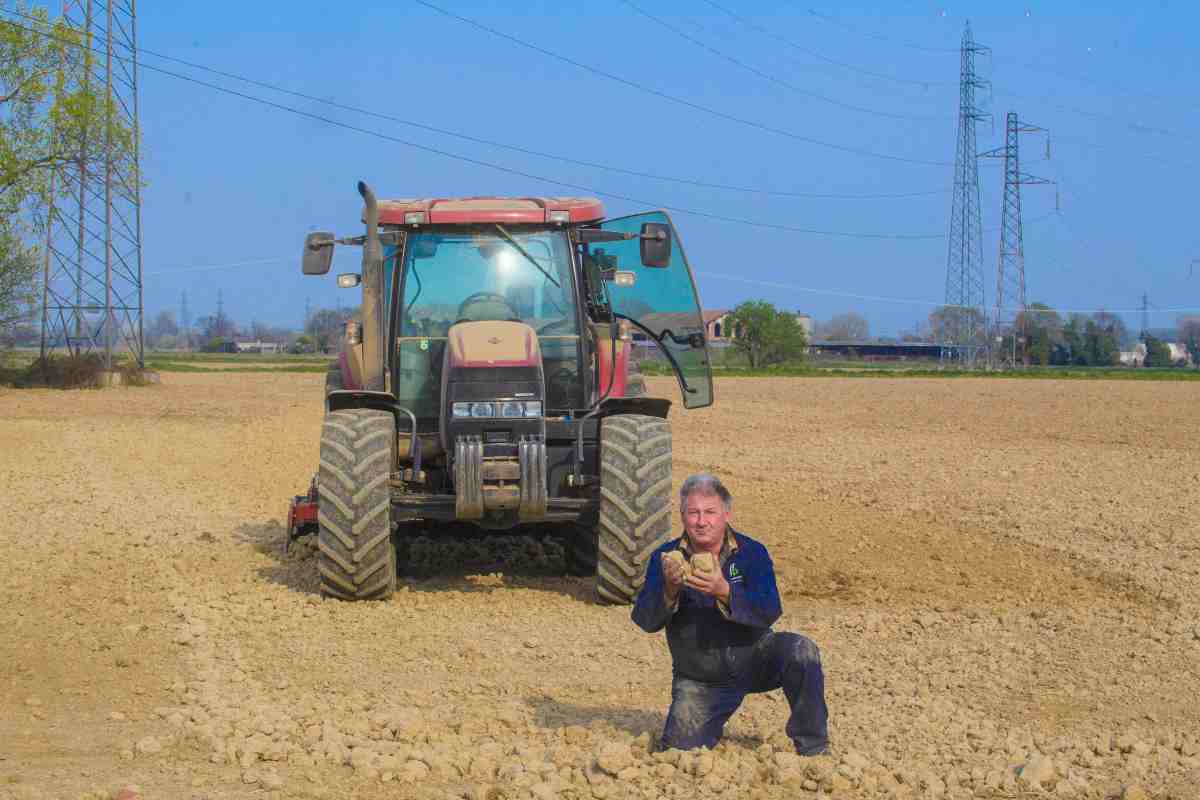 Lavori nell'agricoltura