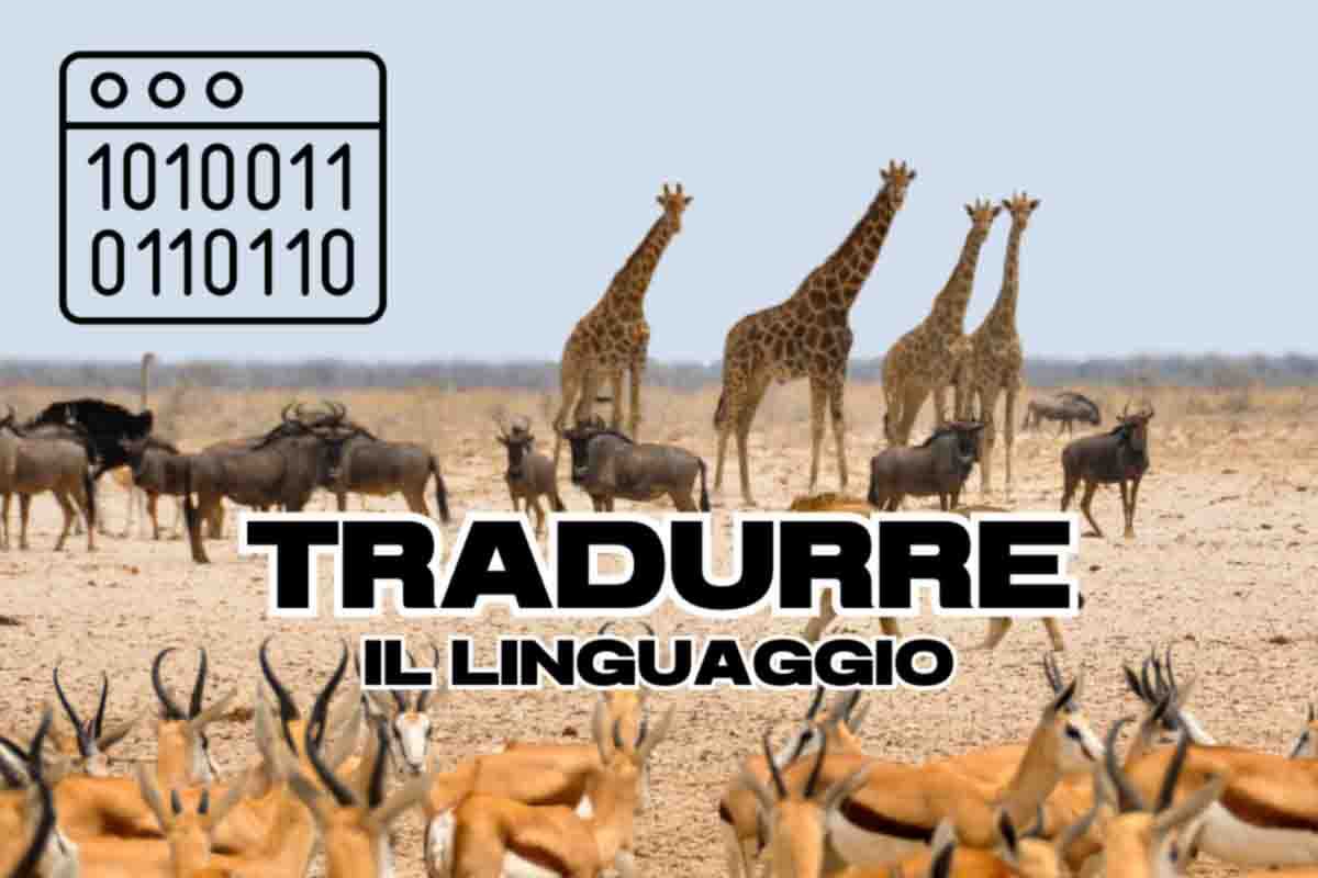 algoritmo per comprendere tradurre linguaggio animali scoperta rivoluzionaria