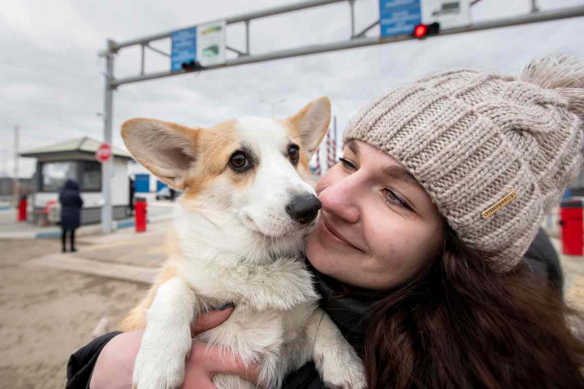 Divorzio e separazione: a chi vanno cani e gatti?