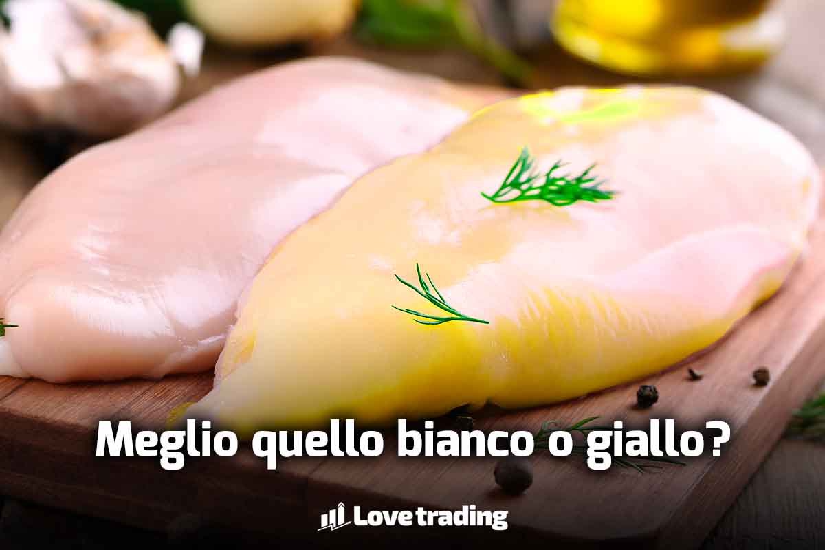 Vediamo la differenza tra pollo bianco e giallo