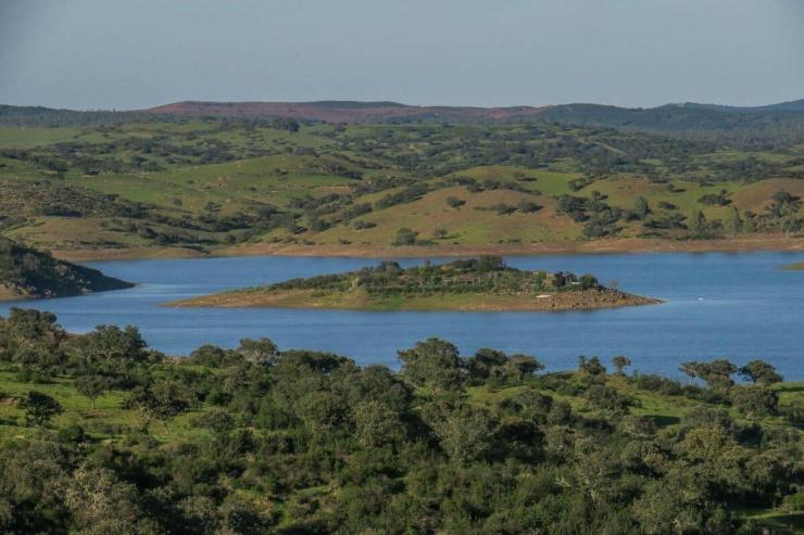 L'isola di Tartaruga offre un'esperienza a stretto contatto con la natura