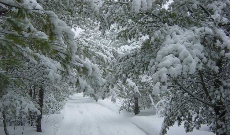 Neve e ghiaccio