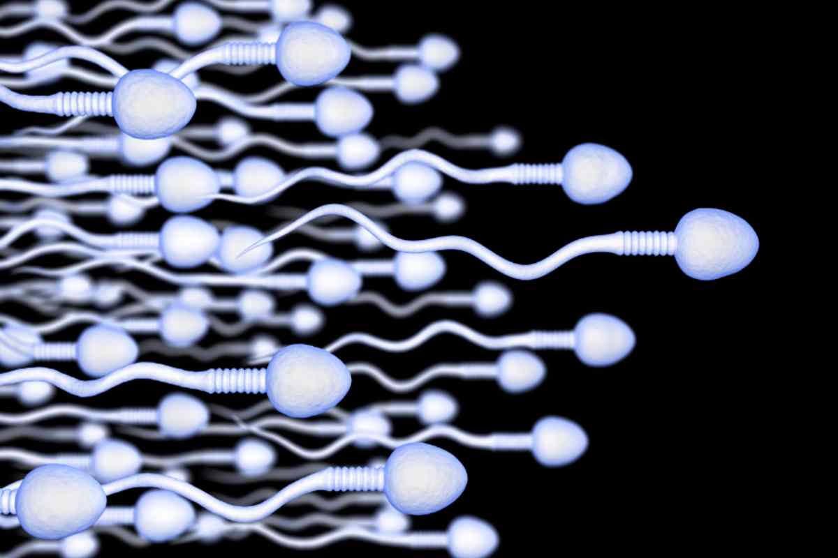 Preoccupa il livello di fertilità degli uomini