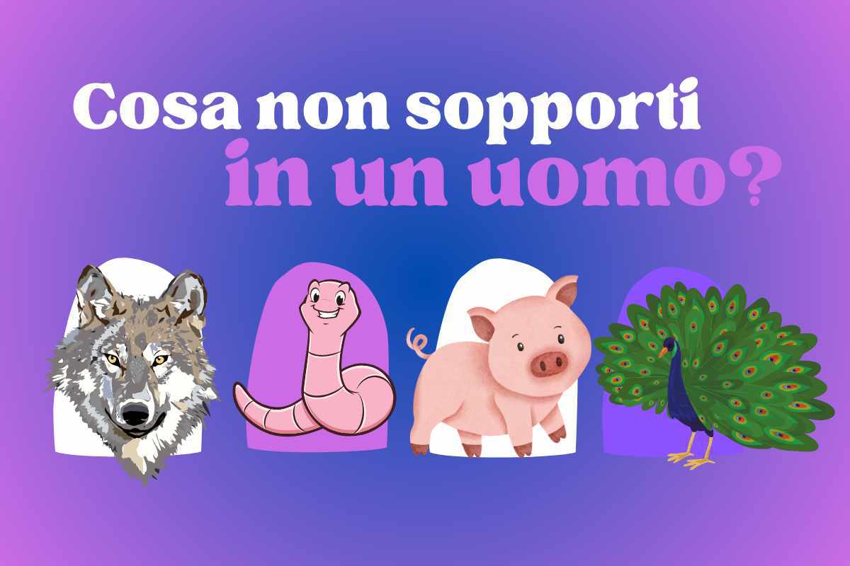 Scopri che cosa detesti negli uomini