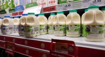 Latte venduto nei discount: attenzione, finalmente scoperto da dove viene e non è come credi