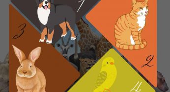 Non pensarci e rispondi subito: quale animale scegli? Dice moltissimo della tua personalità