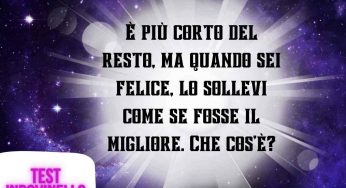 Nessuno fino ad oggi è riuscito a risolvere l’indovinello: se lo fai hai delle doti mentali uniche
