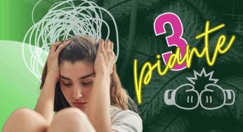Stress e ansia, per combatterli devi associare queste 3 piante, garanzia di relax