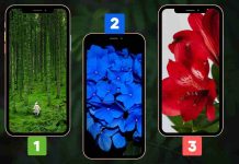 Test delle scelte