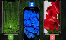 Test delle scelte