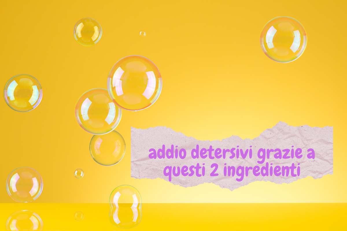 due ingredienti per dire addio ai detersivi nocivi