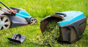 Dopo che tagli il prato non buttare via l’erba: ecco come puoi riutilizzarla al meglio