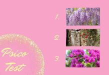 Test personalità