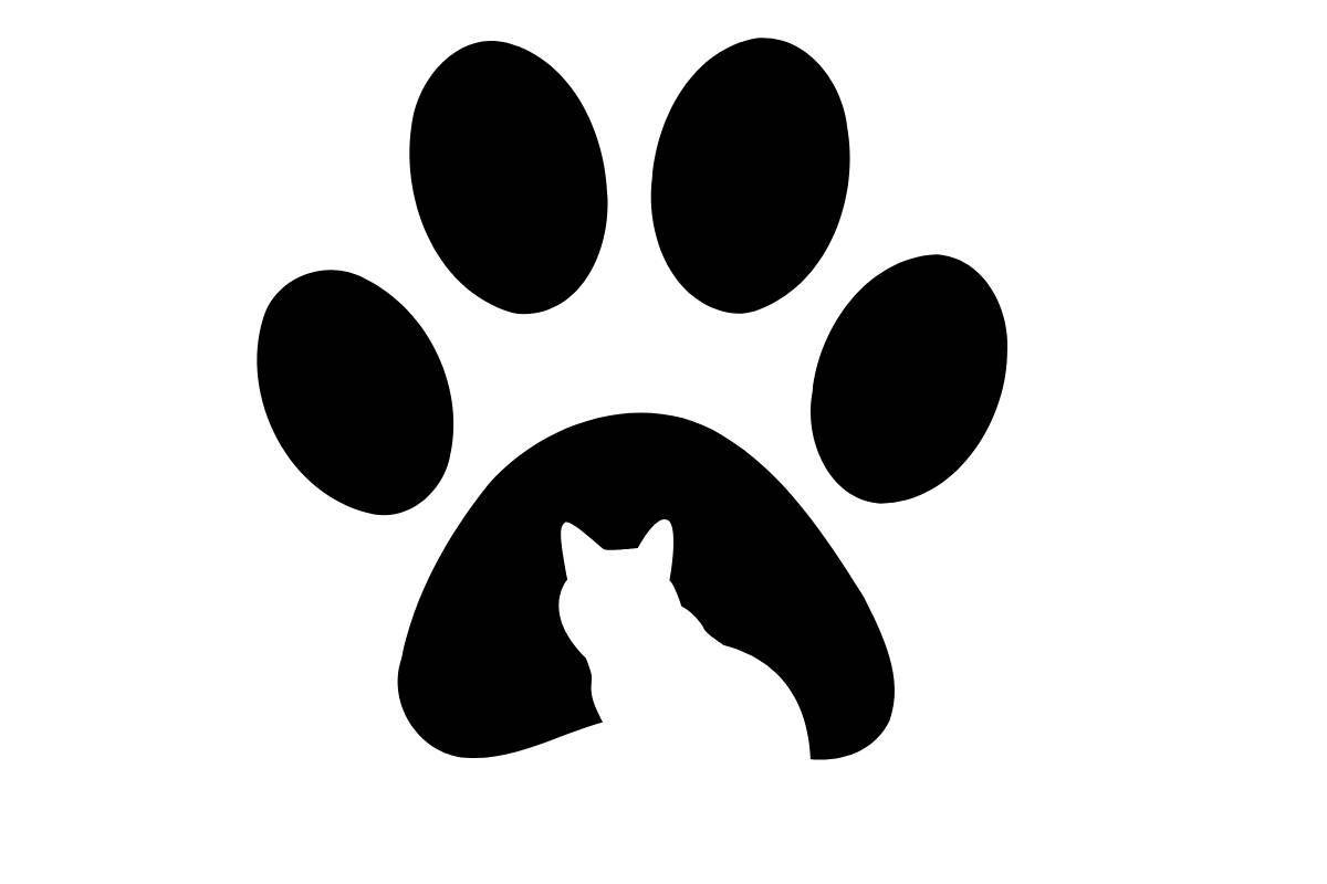 test personalità gatto impronta
