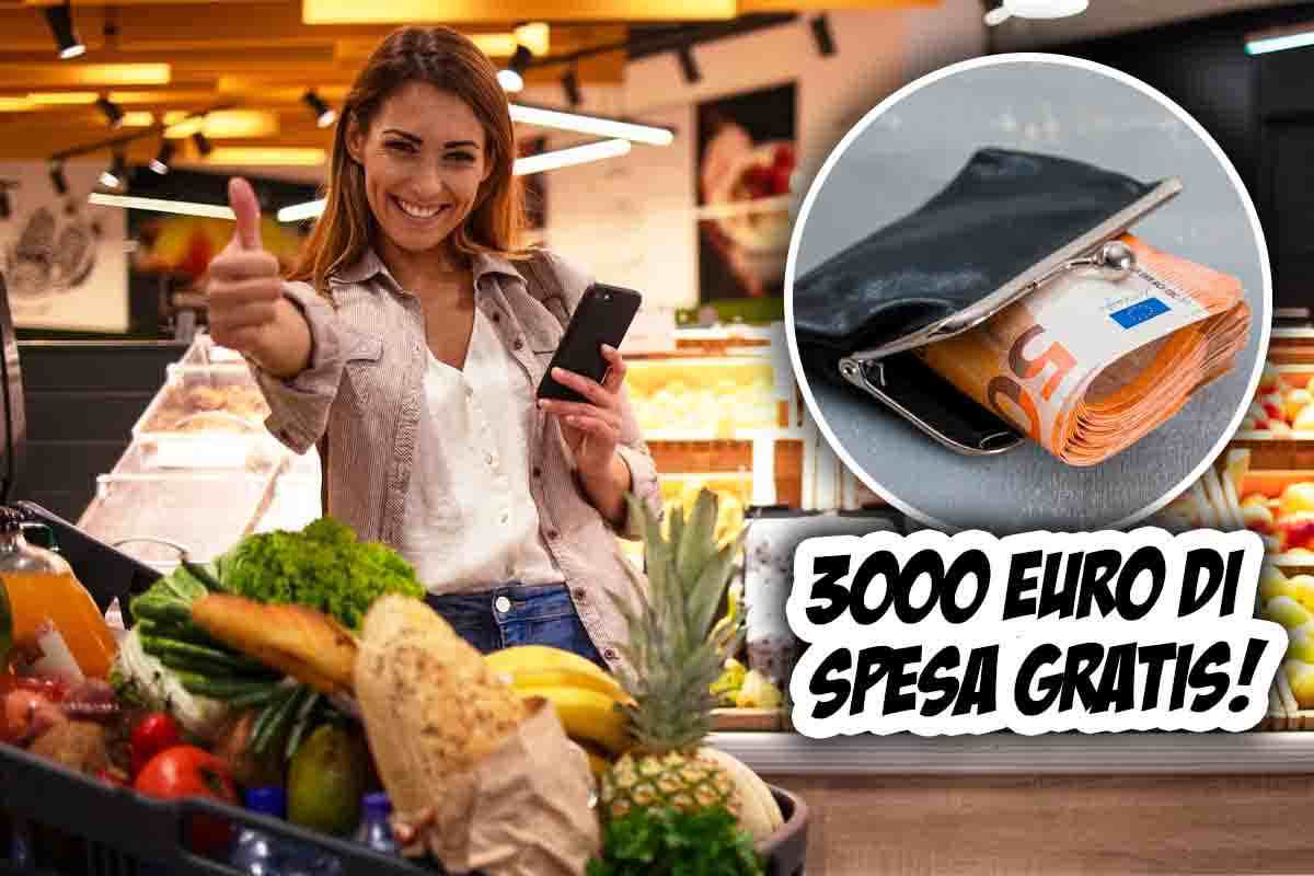 Spesa: 3.000 euro risparmio