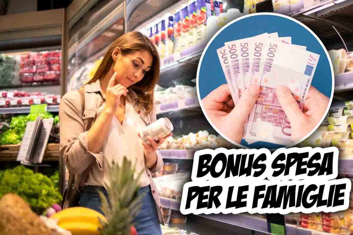 In cosa consiste il Bonus spesa per le famiglie